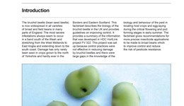 Control of bruchid beetle on broad beans
